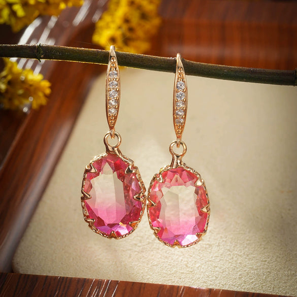Jewelry Geometric Zircon Inlaid Oval Earrings With Electroplating For Women