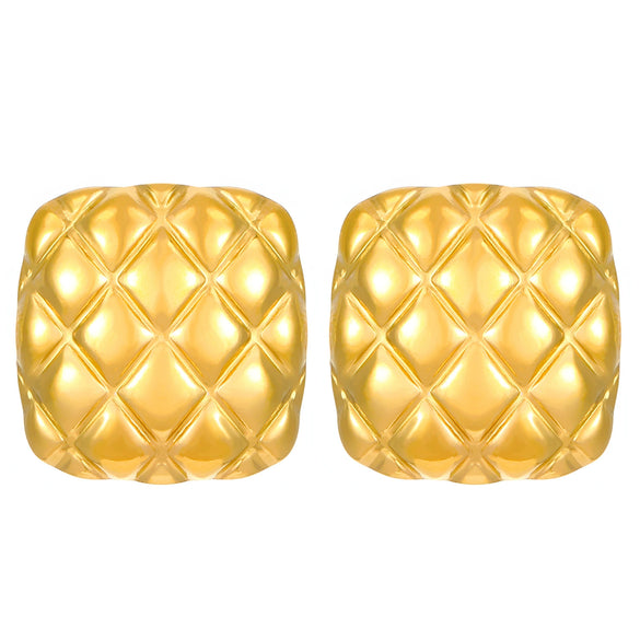 Jewelry Stainless Steel Geometric Electroplating Women's Earrings