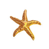 Jewelry Stainless Steel Starfish And Heart Shape Ring Natural Style Electroplating Unisex