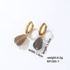 Jewelry Stainless Steel Water Dropshaped Electroplated Simple Women's Earrings