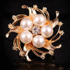 Korean Style Flower Alloy Plating Inlay Rhinestones Pearl Women'S Brooches