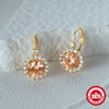 Ladies Luxury High End Dinner Earrings S925 Sterling Silver With Gemstone And Diamond Plant Flowers Style Geometric Design Electroplating Process