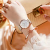 Ladies Watch Alloy Case Stainless Steel Strap Round Dial Leisure Style Waterproof