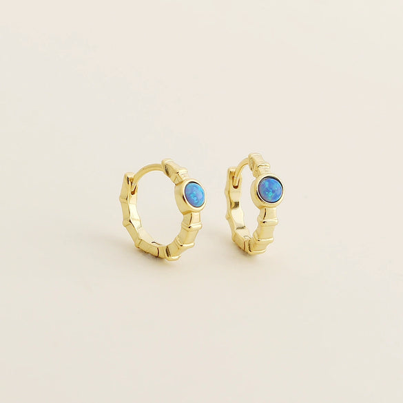 Light Luxury Geometric S925 Silver Electroplated Earrings For Women