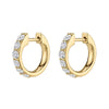 Light Luxury Geometric Zirconia Women's Earrings