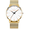 Men's Alloy Mesh Strap Quartz Watch With Colorful Round Dial And Ordinary Crown