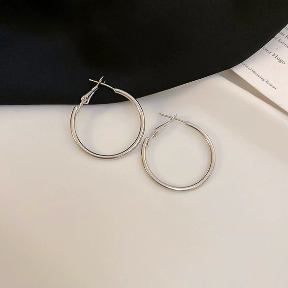Metal Geometric Hoop Earrings Highend Luxury Electroplating Style For Women