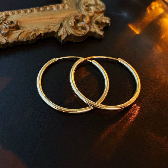 Metal Geometric Hoop Earrings Highend Luxury Electroplating Style For Women