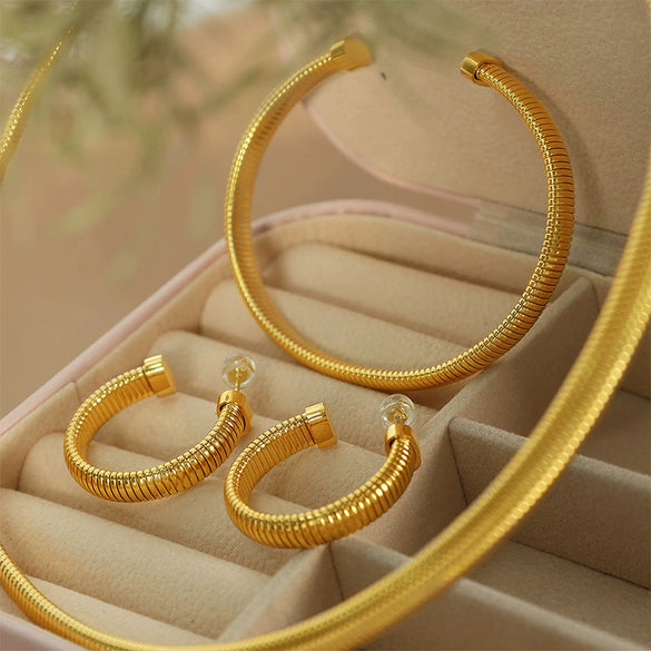 Metal Snake Pattern Earrings And Necklaces Set 316L Stainless Steel Retro Style