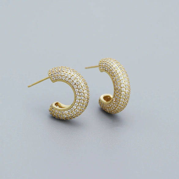 Metal Wind Earrings 925 Silver Geometric Electroplated Ear Jewelry For Women