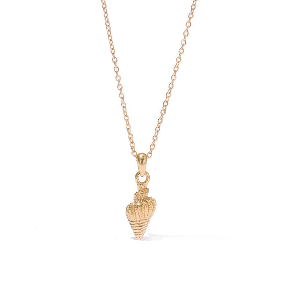 Necklace Shell Conch Pendant Titanium Steel Geometric Simple Retro Light Luxury Women's Electroplating O Word Chain