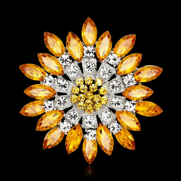 Occident Alloy Plating Brooch Nhdr0839