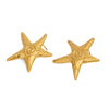 Ocean Style Starfish Stainless Steel Earrings For Women With Electroplating Animal Pattern And Casual Style