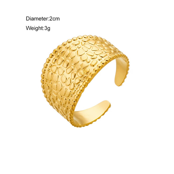 Open Design Wide Surface Printing Punk Retro Simple Titanium Steel Index Finger Ring With Geometric Pattern And Electroplating