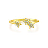Opening Adjustable S925 Sterling Silver Ring With Electroplated Platinum Or 18K Gold Crown Design Fashion Jewelry For Women And Unisex