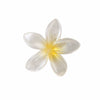 Pearl Flower Duckbill Hair Clip Plant Flowers Style Baking Paint Process Women's Hair Accessory