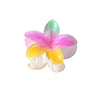 Pearl Gradient Egg Flower Grab Clip Hairpin Baking Paint Fashion Women's Accessories