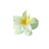 Pearl Gradient Egg Flower Grab Clip Hairpin Baking Paint Fashion Women's Accessories