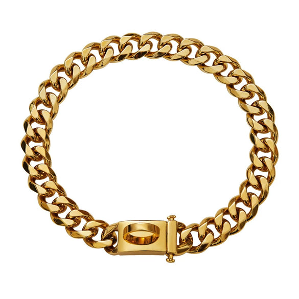 Pet Dog Chain Titanium Steel Sixsided Grinding Encrypted Round Grinding Polished Vacuum Plating