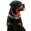 Pet Dog Chain Titanium Steel Sixsided Grinding Encrypted Round Grinding Polished Vacuum Plating