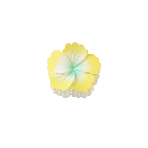 Plastic Flower Claw Clip Painted Sweet And Simple Women's Hair Accessory