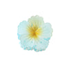 Plastic Resin Heart Gradient Flower Baking Paint Grab Clip Women's Headwear