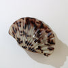 Plastic Scallop Hair Clip Light Luxury Style Paint Process Women's Hair Accessories