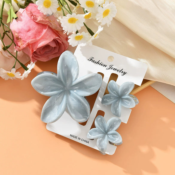Plumeria Flower Hair Clip Set Women's Simple Style Painted Hair Accessories