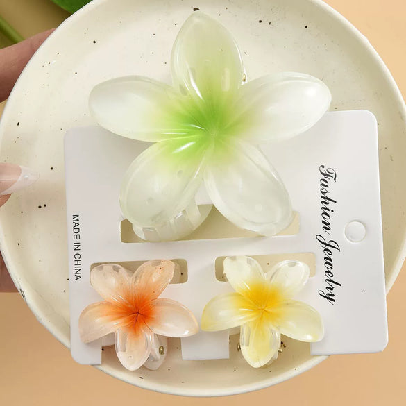 Plumeria Flower Hair Clip Set Women's Simple Style Painted Hair Accessories