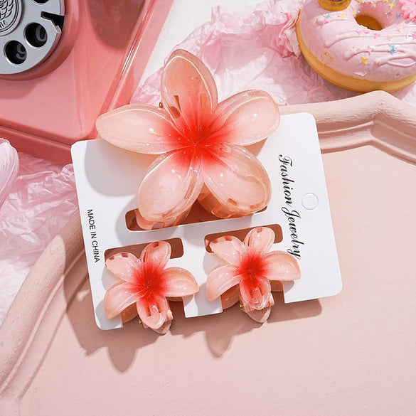 Plumeria Flower Hair Clip Set Women's Simple Style Painted Hair Accessories
