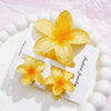 Plumeria Flower Hair Clip Set Women's Simple Style Painted Hair Accessories