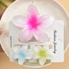 Plumeria Flower Hair Clip Set Women's Simple Style Painted Hair Accessories