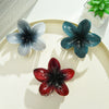 Plumeria Hair Clip Set Plastic Little Fresh Style Baking Paint Women's Hair Accessories