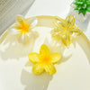 Plumeria Hair Clip Set Plastic Little Fresh Style Baking Paint Women's Hair Accessories