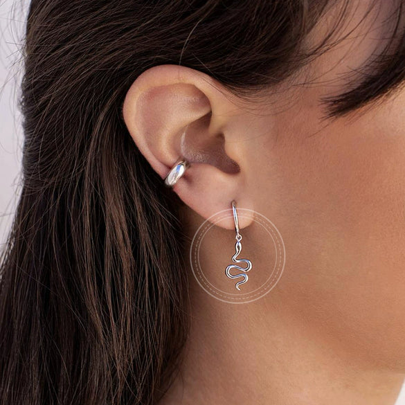 Retro Animal Snake Shape Earrings With Silver Needle And Copper Electroplated Fashion Earrings For Women