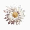 Retro Flower Alloy Stoving Varnish Women'S Brooches