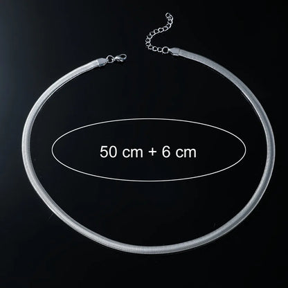 Retro Punk Simple Style Solid Color Titanium Steel Plating Silver Plated Men'S Necklace