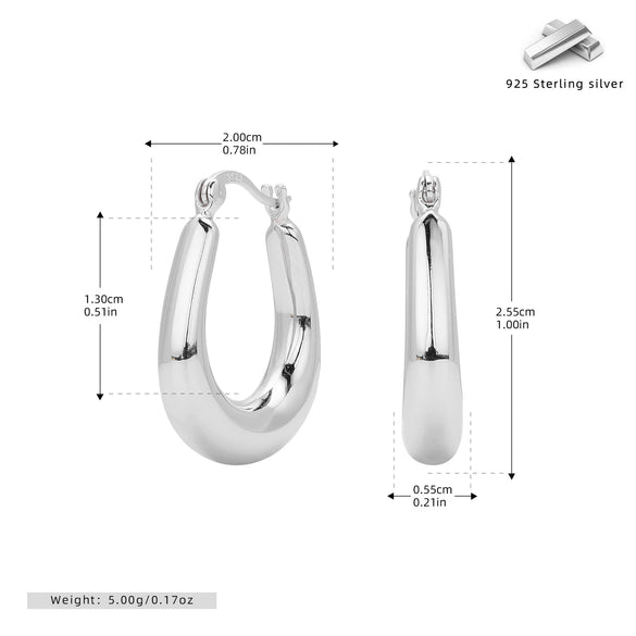S925 Sterling Silver Cold Style Oval Geometric Electroplated Women's Earrings