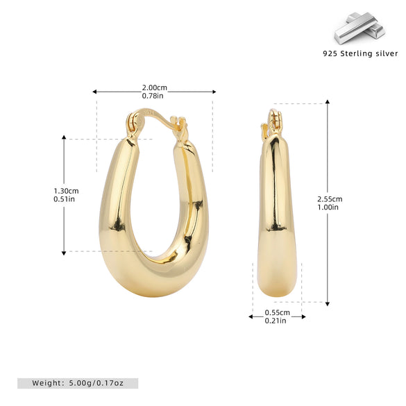 S925 Sterling Silver Cold Style Oval Geometric Electroplated Women's Earrings