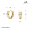 S925 Sterling Silver Earrings Electroplated Women's Jewelry