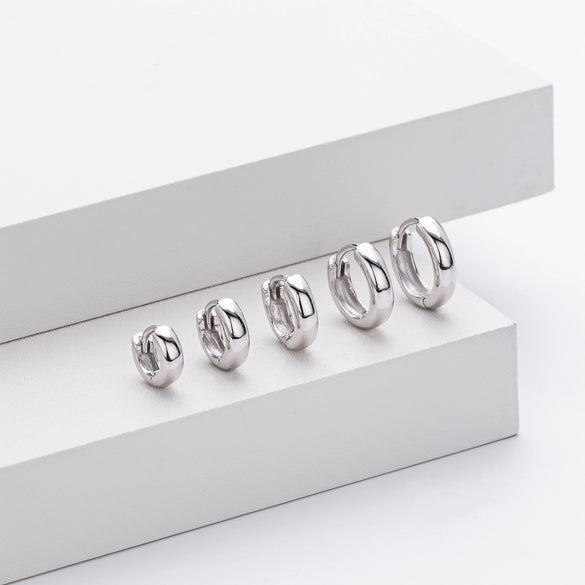 S925 Sterling Silver Earrings Electroplated Women's Jewelry