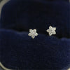 S925 Sterling Silver Fivepointed Star Women's Earrings Simple Style With Zircon