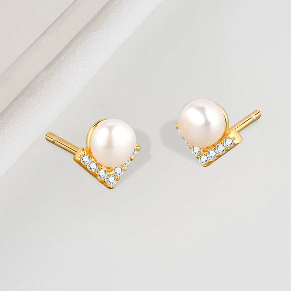 S925 Sterling Silver Geometric Electroplated Women's Earrings Jewelry