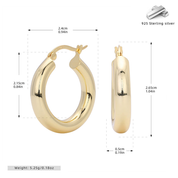 S925 Sterling Silver Geometric Hoop Earrings For Women Electroplated Punk Style
