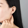 S925 Sterling Silver Geometric Star And Pepper Zircon Earrings For Women Electroplated Cute Simple Fashion Jewelry