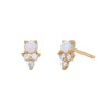 S925 Sterling Silver Inlaid Zircon Geometric Elegant Women's Earrings