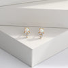 S925 Sterling Silver Inlaid Zircon Geometric Elegant Women's Earrings