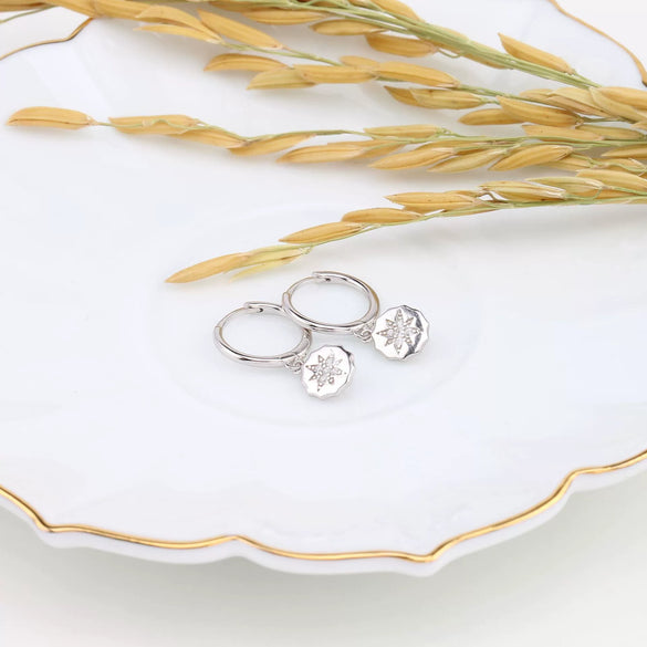 S925 Sterling Silver Light Luxury Microinlaid Stone Eight Mans Star Eardrop Women's Earbuckle