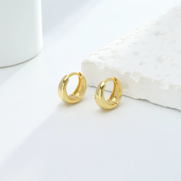 S925 Sterling Silver Minimalist Geometric Women's Earrings With Electroplating