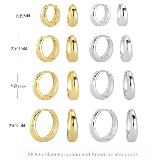 S925 Sterling Silver Minimalist Geometric Women's Earrings With Electroplating